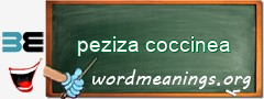 WordMeaning blackboard for peziza coccinea